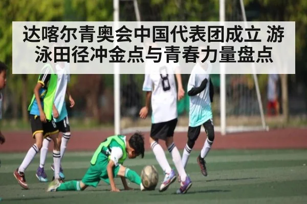 达喀尔青奥会中国代表团成立 游泳田径冲金点与青春力量盘点 - kaiyun
